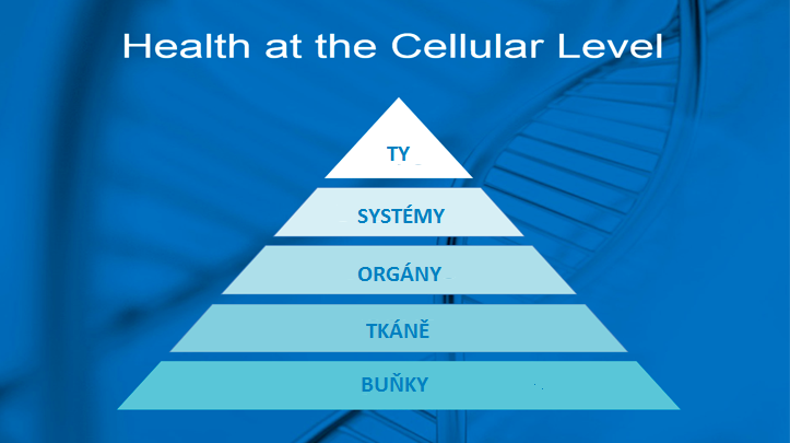 Buněčné zdraví